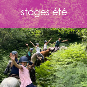 page stages t