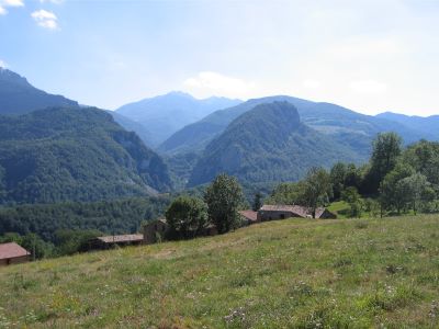 cols4